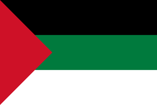 Flags of Syria throughout history - My, Politics, Syria, History (science), Syrian Army, The Arab World, Ruwiki, Wikipedia, Риа Новости, List, 20th century, 20th-21st centuries, 21 century, date, Stars, Symbols and symbols, Near East, Longpost