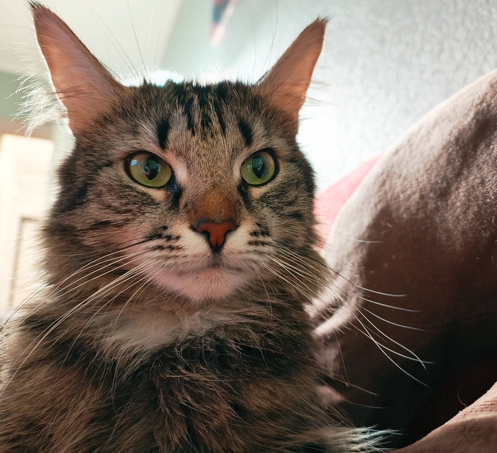 ������������� ������ �����