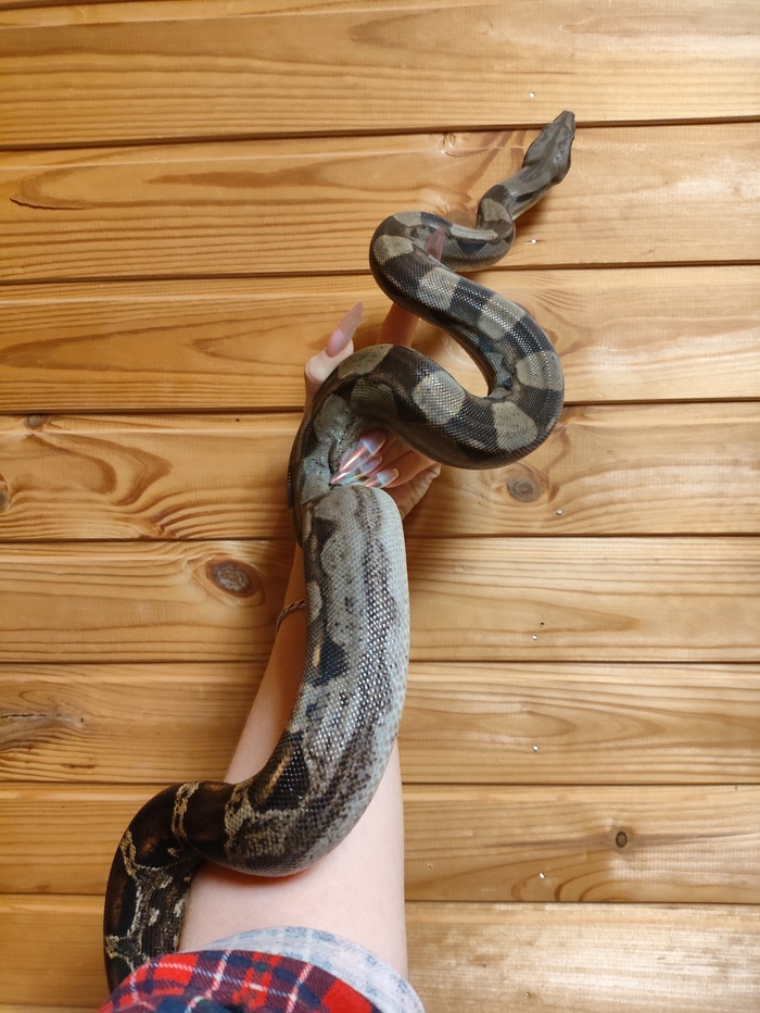 С моё запястье