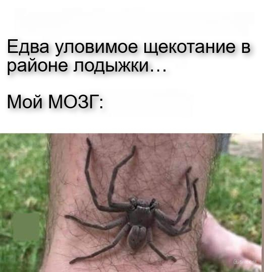 Стопудово ЭТО! ))