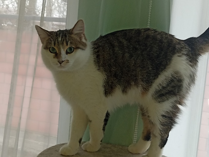   , ,  ,  ,  , ,   , ,  , 