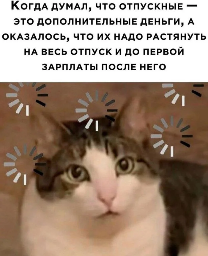 Vacation pay - Picture with text, Humor, Memes, cat, Психолог, Psychology, Dialog, Expectation and reality, Sad humor, Psychotherapy, Age, Vacation, Money, Vital, Fatigue, Irony, Telegram (link)