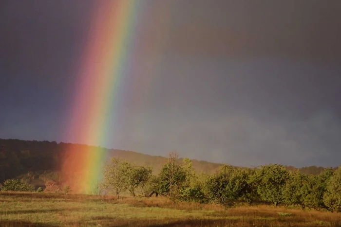 Rainbow - Rainbow, The photo