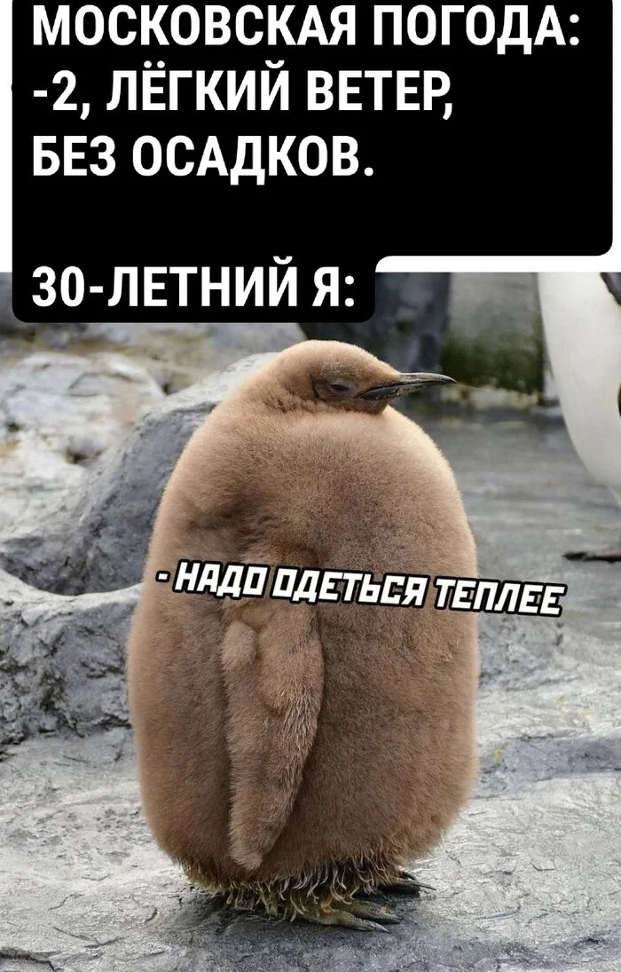 Preparing clothes for the morning correctly - Moscow, Humor, Picture with text, Winter clothing, Cold, Weather