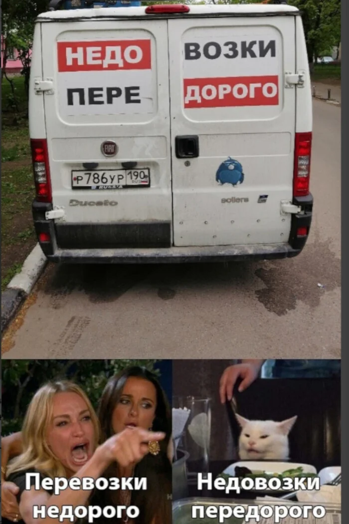 Not enough transportation is expensive! - Humor, Memes, Cargo transportation, Picture with text, Rock ebol, Two women yell at the cat