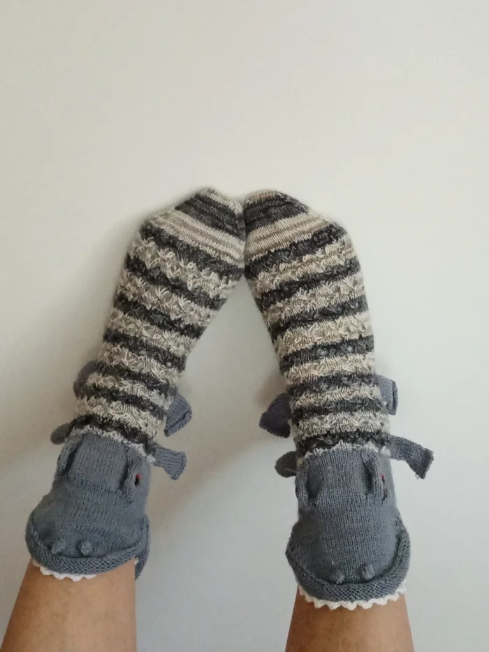 Crocodile socks - Knitting, Knitting, Knitted product, Socks, Longpost, VKontakte (link)