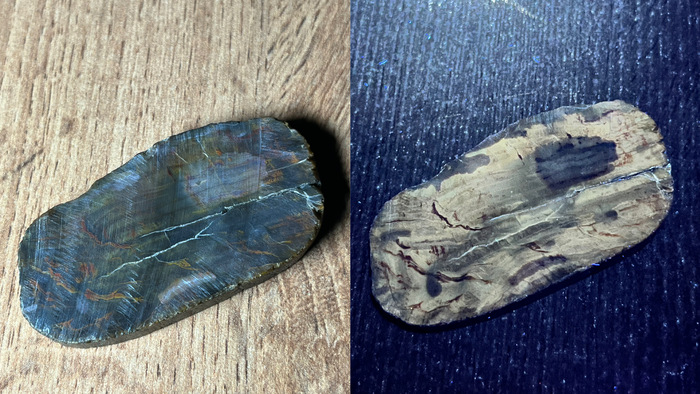 Спил окаменелого дерева