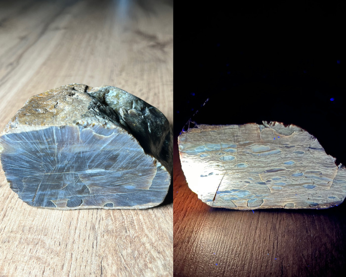 Окаменелое дерево (возможно замещено кремнем)