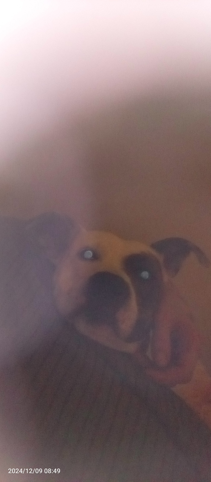      , , ,  ,   , 