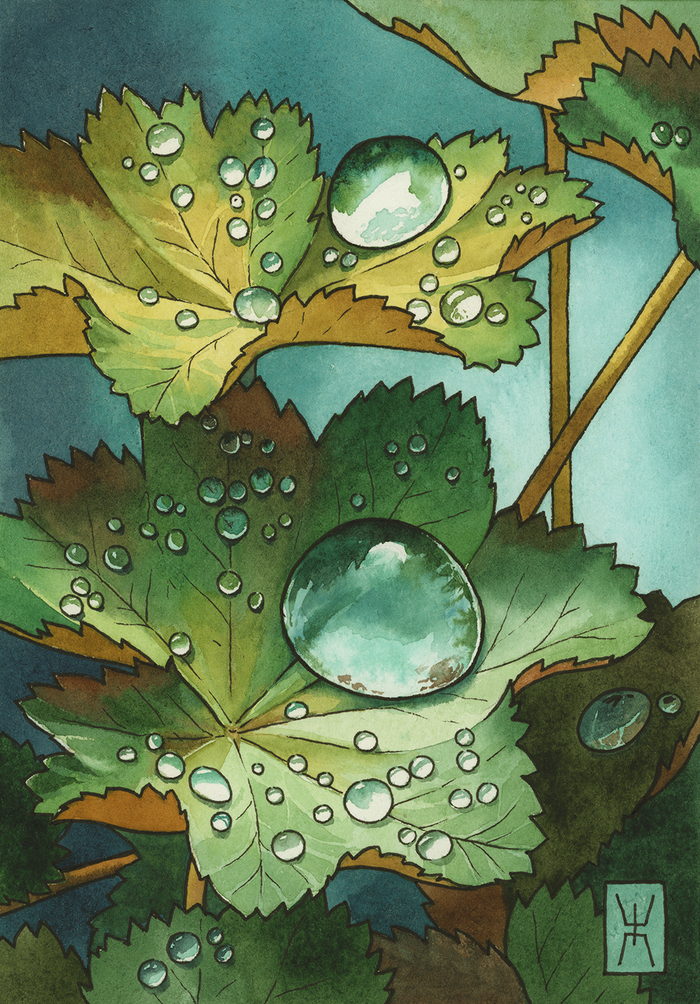 Хлопковая бумага А5, акварель, линеры