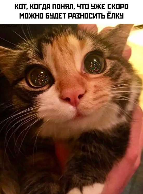  , ,  ,  