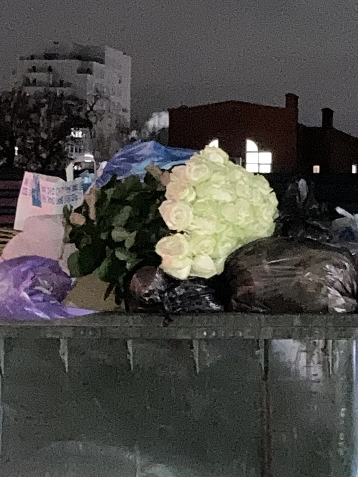 Shatunov's pain - My, Pain, Flowers, Garbage, the Rose, The photo