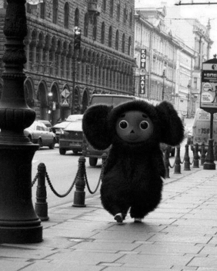 Cheburashka - Cheburashka, Positive