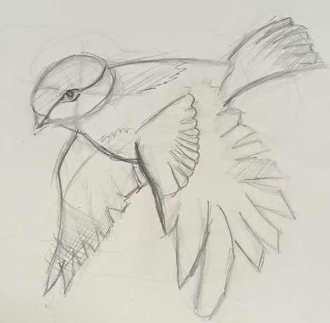 ШИЗОдочь. Соблюдай дня режим...жим...жим