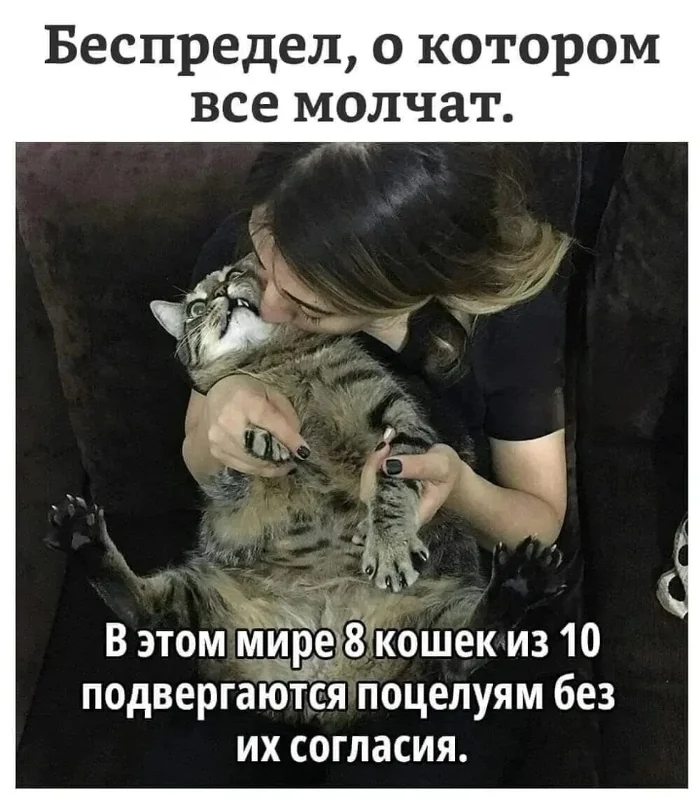 It's the same with my cat. - cat, Humor, Love, Kiss, Animals, Picture with text, Repeat