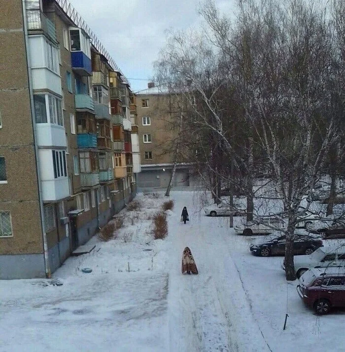 Mood: giant moth in search of warmth and care - Vital, Winter, Its own atmosphere, Vibe, Russia, Courtyard, Telegram (link)