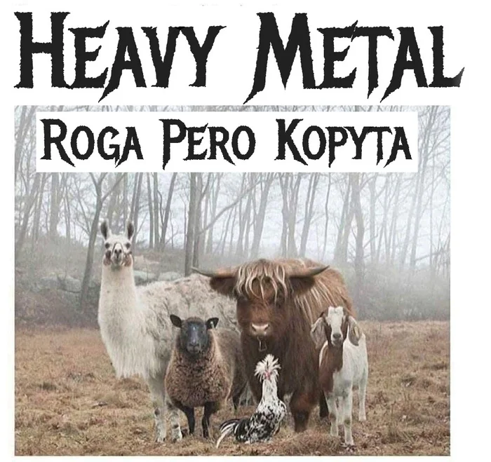 We are the stars of the continents ))) - Heavy metal, Rock, Rock band