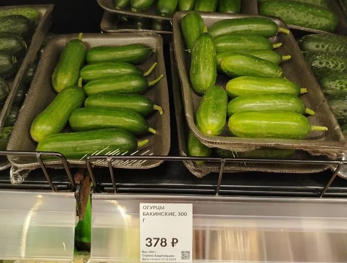 Dear, you have 300 grams of cucumbers for the price of a kg of meat! - Economy, Prices, Rise in prices, Inflation, Cucumbers, Politics, Do you agree?, No rating