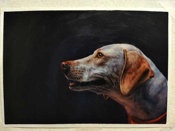 Portrait of a dog from a shelter - My, Dog, Drawing, Artist, Art, Acrylic, Longpost