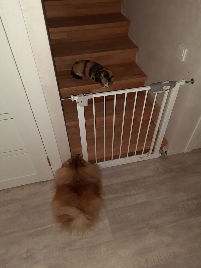 ����������)