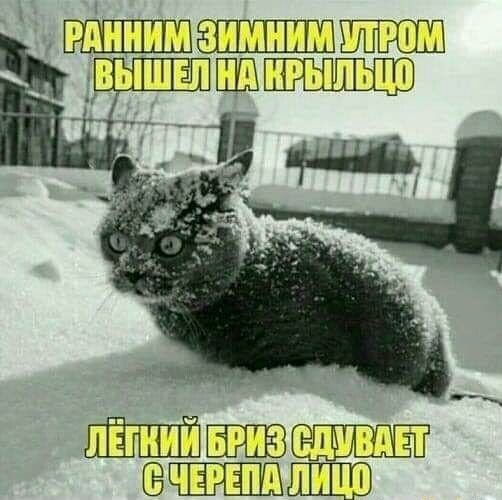 17338514731012777.jpg