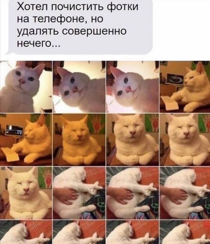     ,   , , 