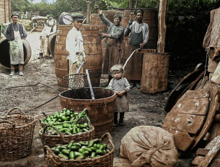 What detail in this 19th-century photograph hasn't been explained by scientists for over 50 years: it's what made the English dislike the Russians - Scientists, Mystery, История России, Cucumbers, Joke, Past, Longpost