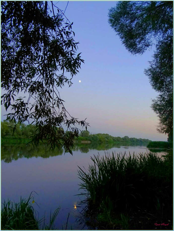 ...and reflection in the water... - My, The photo, Nature, Summer, Landscape, Evening, Reflection