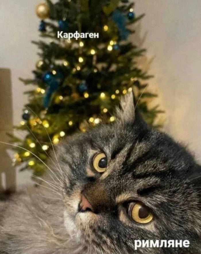     , ,    ,  , 