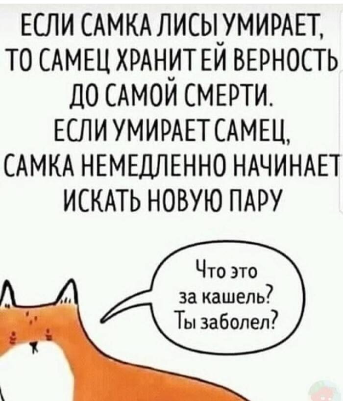   , Telegram (), ,   , , , 