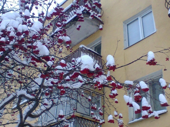 Фото из архива Милы Мельниковой