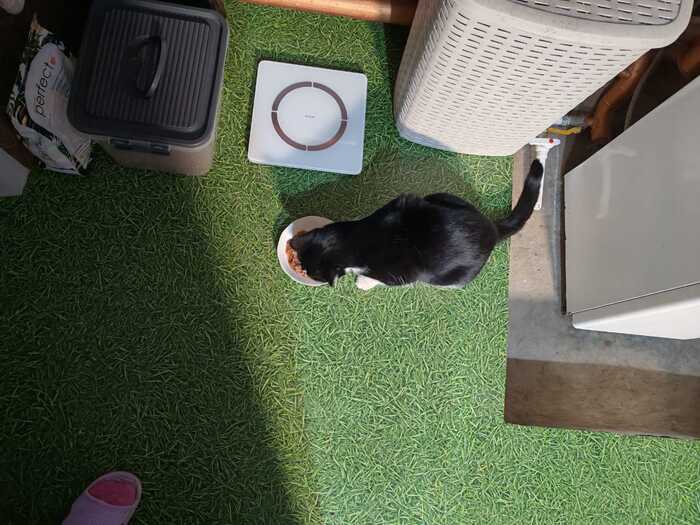 ����� ����������