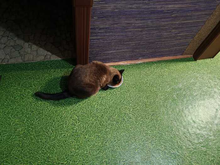 ����� ����������