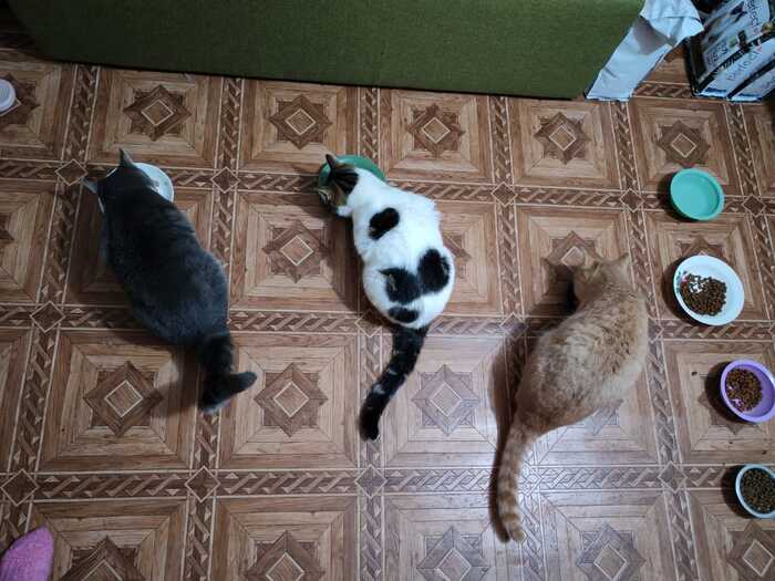 ����� ����������