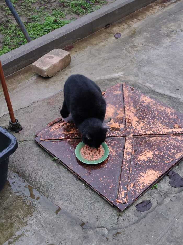 ������� ������