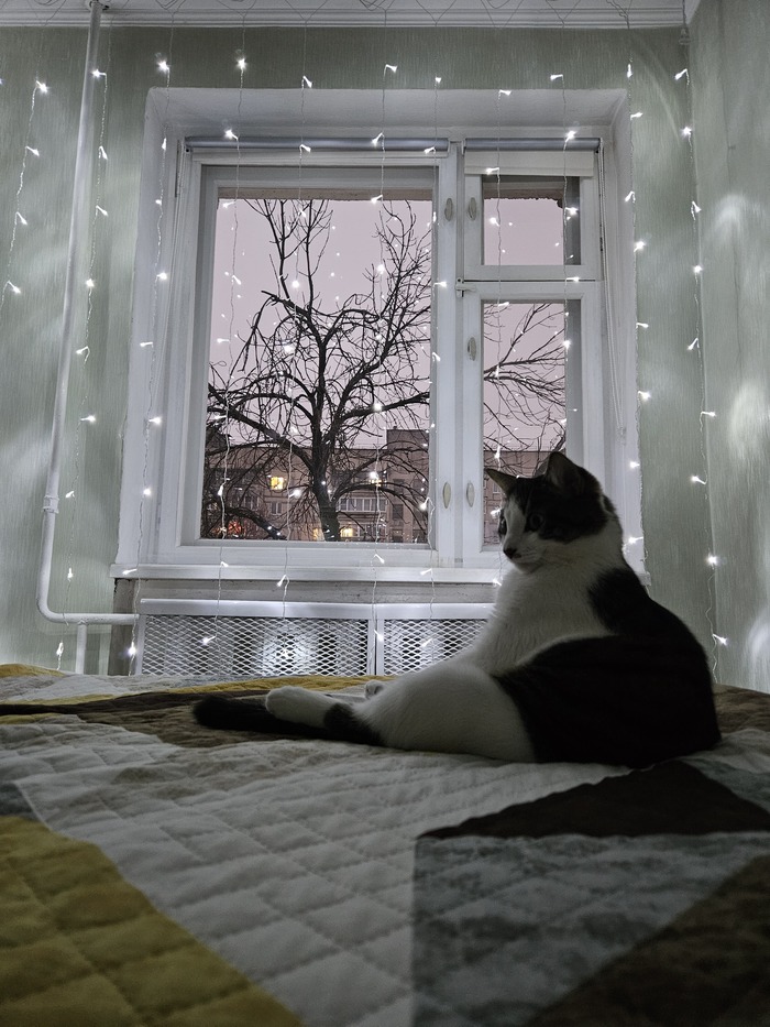 Что-то из новогоднего