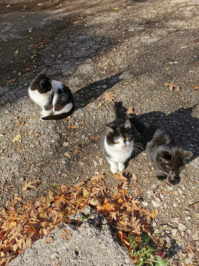 ������� ������ �� ����� ��� � ���