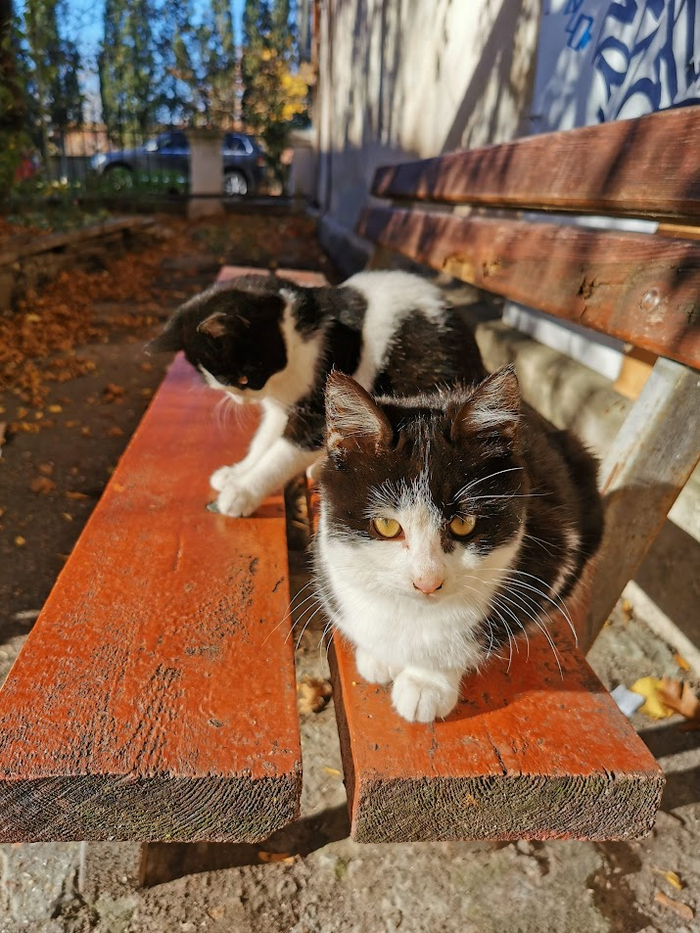 �� ��������? ���� ���?