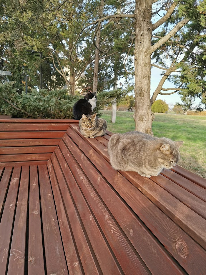 ��������� ���������