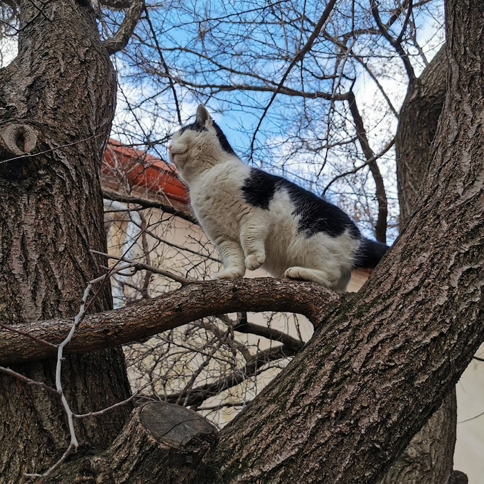 ������ ���� - ������ �����