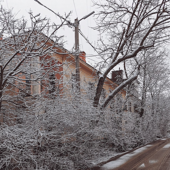 ��. ���� ���� ������