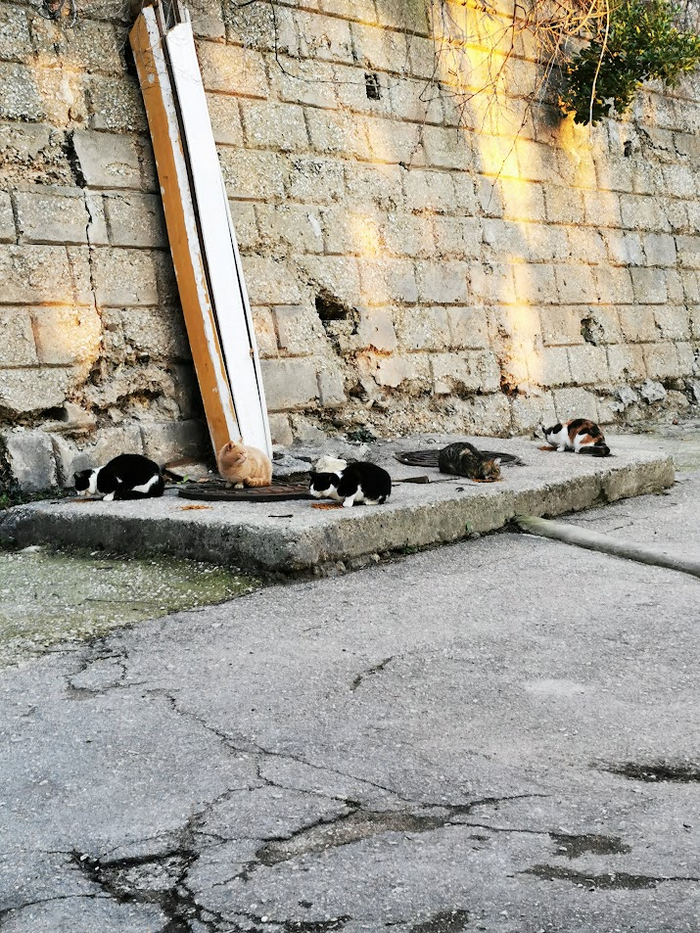 ����� � ������ - ���� ����))))))