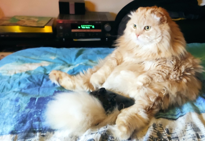 Геймерское