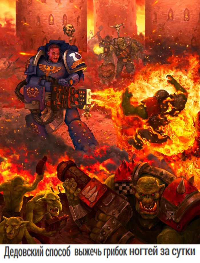 Lunch Meme - Warhammer, Wh humor, Picture with text, Warhammer 40k, Orcs