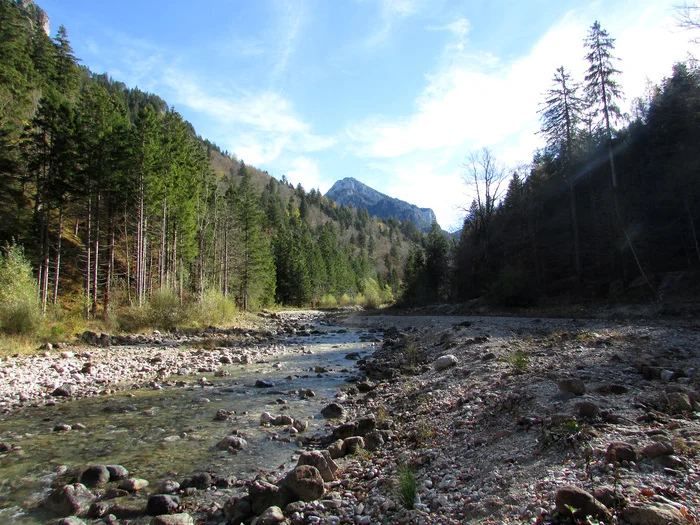 Neuschwanstein with your own eyes - My, sights, Travels, Neuschwanstein, Hohenschwangau Castle, Germany, Longpost