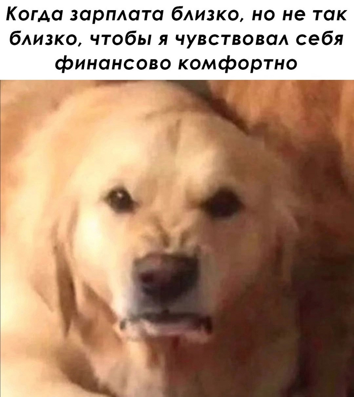 Когда зарплата близко
