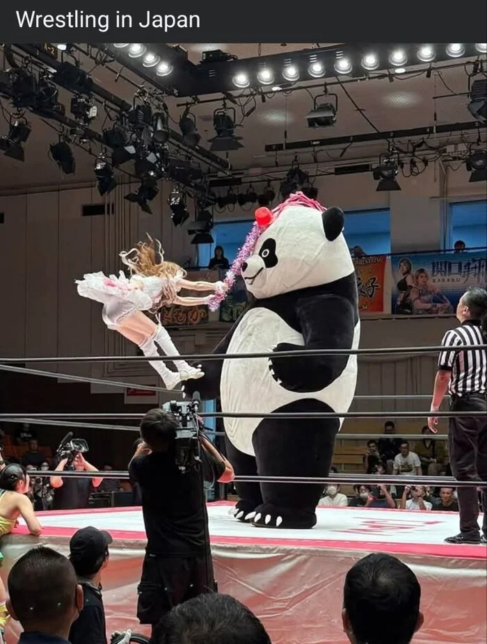 Japan... - Japan, Wrestling, Asia, Humor, Panda