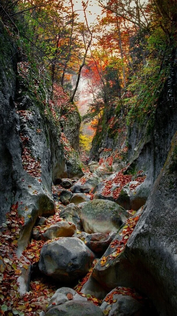 Late autumn in the Grand Canyon of Crimea - The photo, Nature, Autumn, Crimea, Canyon