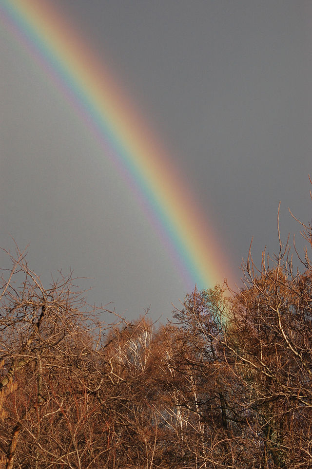 Rainbow , 