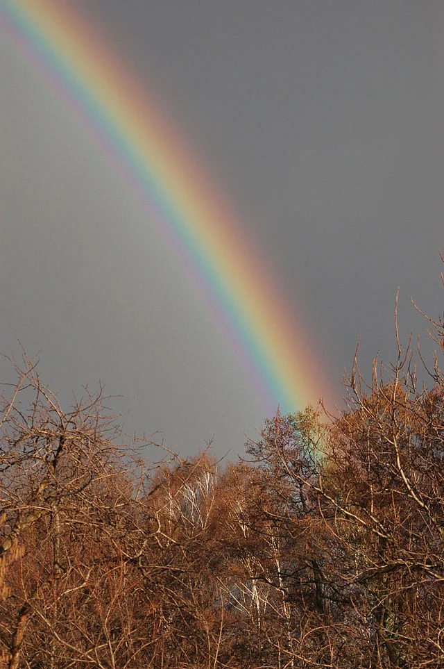 Rainbow - Rainbow, The photo